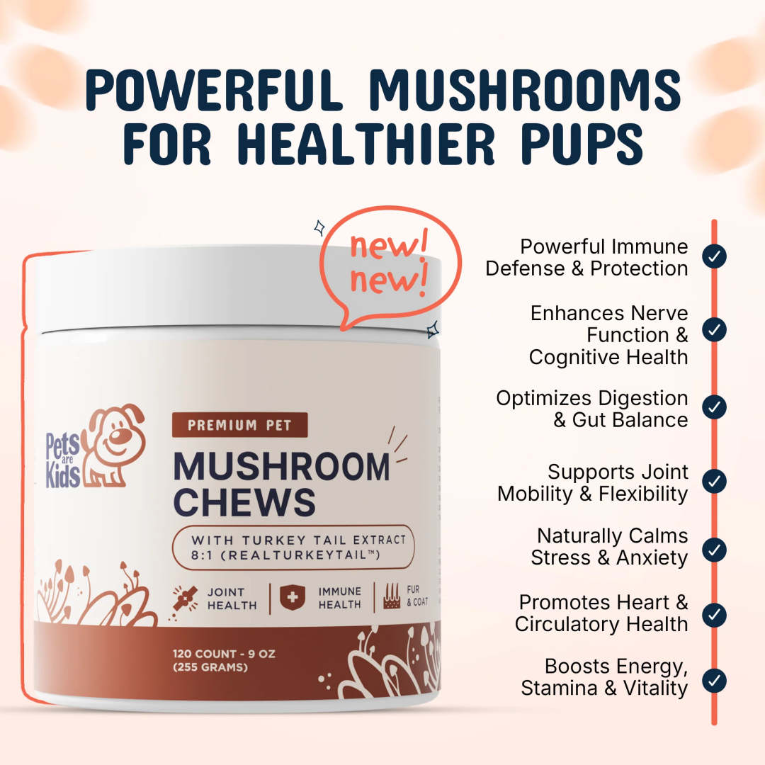 Mushroom Chews
